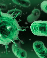 Segnalato il primo caso in Usa di un germe resistente alla colistina